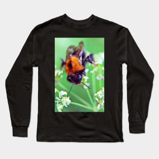 Bee Trouble Long Sleeve T-Shirt